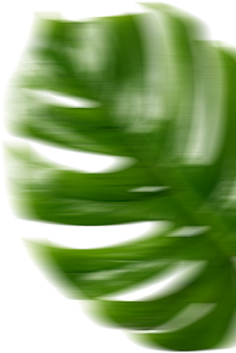 企業(yè)優(yōu)勢(shì)